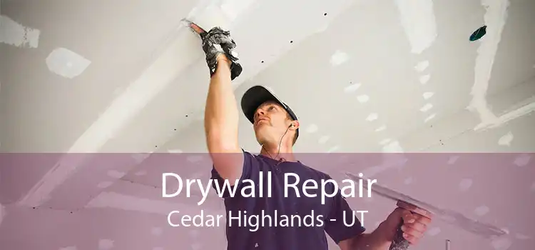 Drywall Repair Cedar Highlands - UT