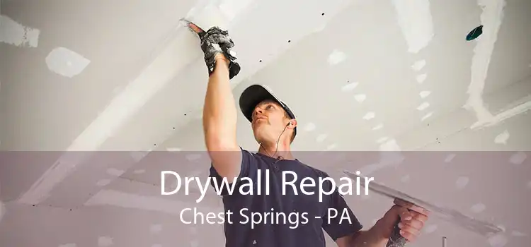Drywall Repair Chest Springs - PA