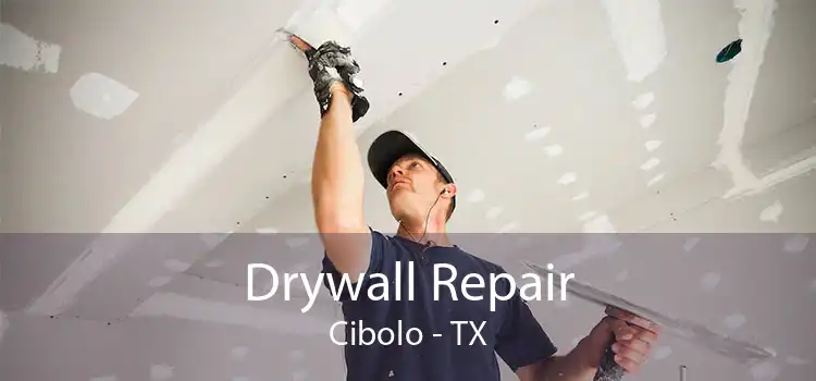 Drywall Repair Cibolo - TX