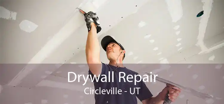 Drywall Repair Circleville - UT