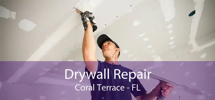 Drywall Repair Coral Terrace - FL