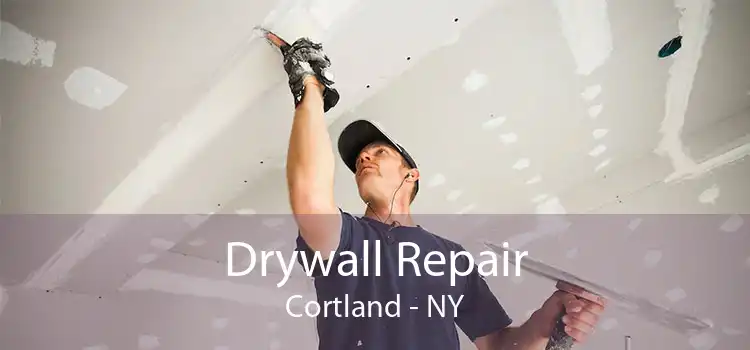 Drywall Repair Cortland - NY