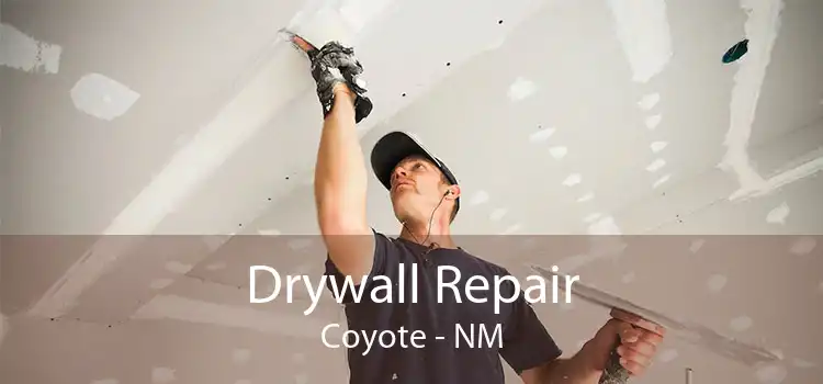 Drywall Repair Coyote - NM