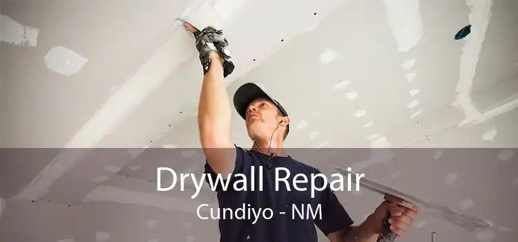 Drywall Repair Cundiyo - NM