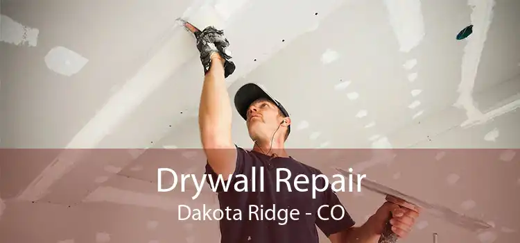 Drywall Repair Dakota Ridge - CO