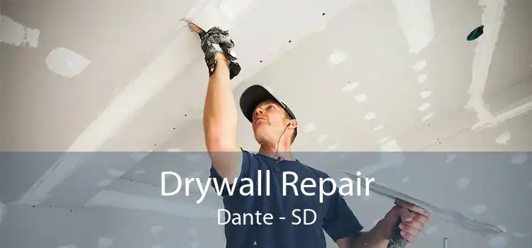 Drywall Repair Dante - SD