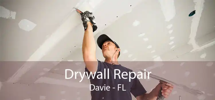 Drywall Repair Davie - FL