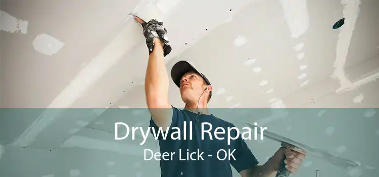 Drywall Repair Deer Lick - OK