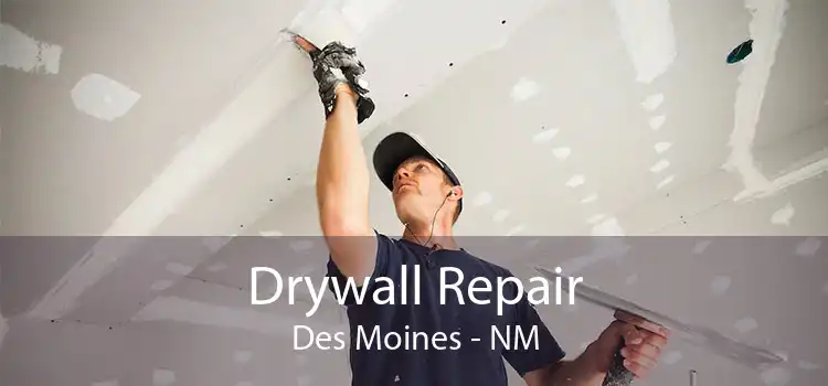 Drywall Repair Des Moines - NM