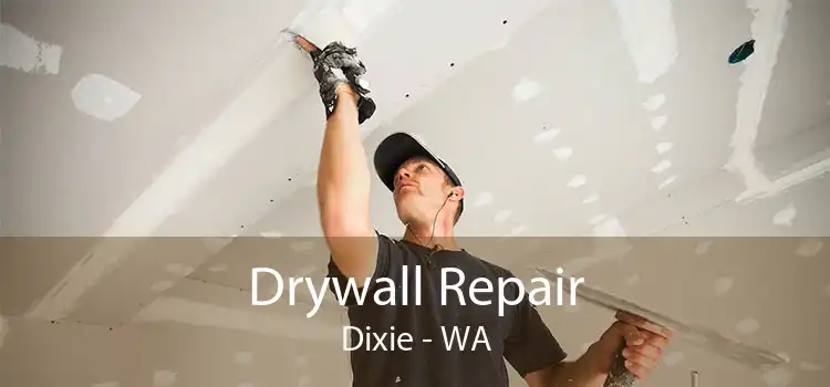 Drywall Repair Dixie - WA
