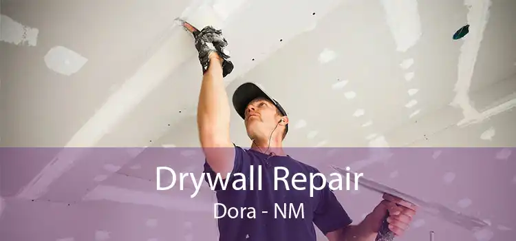 Drywall Repair Dora - NM