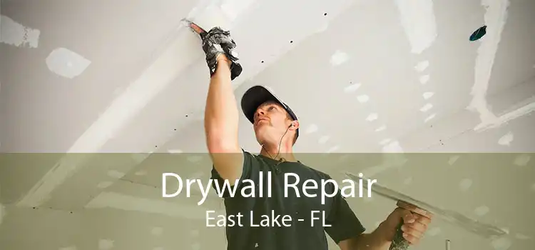 Drywall Repair East Lake - FL