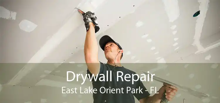 Drywall Repair East Lake Orient Park - FL