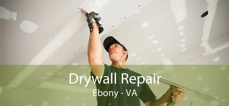 Drywall Repair Ebony - VA