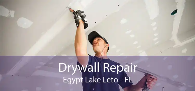 Drywall Repair Egypt Lake Leto - FL