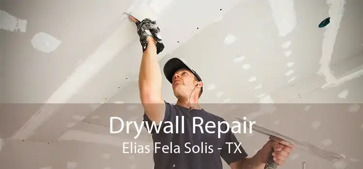 Drywall Repair Elias Fela Solis - TX