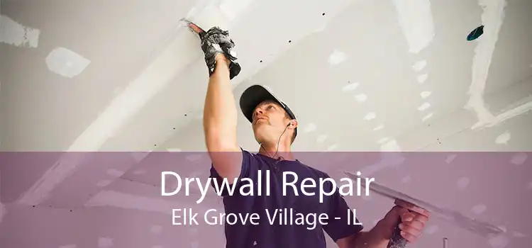 Drywall Repair Elk Grove Village - IL