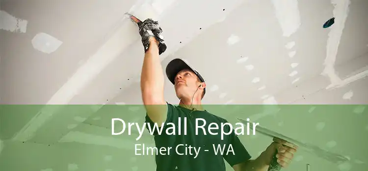 Drywall Repair Elmer City - WA