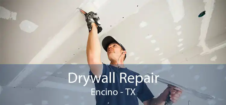 Drywall Repair Encino - TX