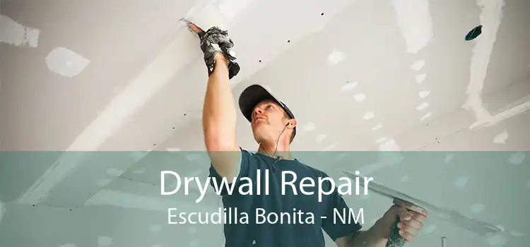 Drywall Repair Escudilla Bonita - NM