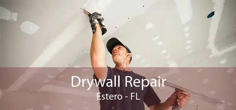 Drywall Repair Estero - FL