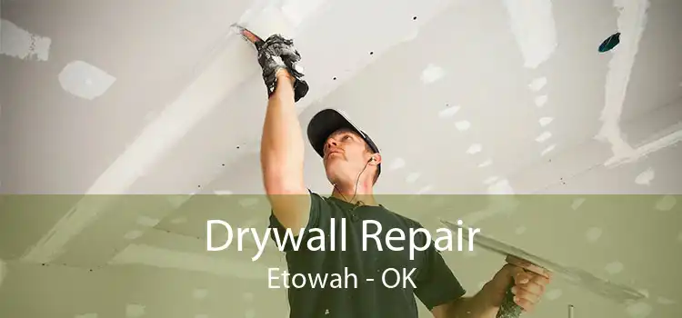Drywall Repair Etowah - OK
