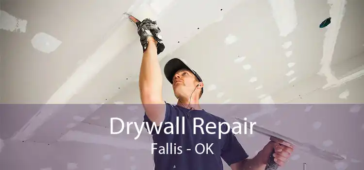 Drywall Repair Fallis - OK