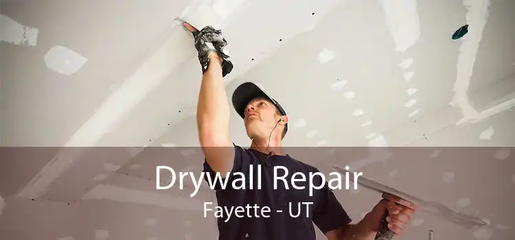 Drywall Repair Fayette - UT