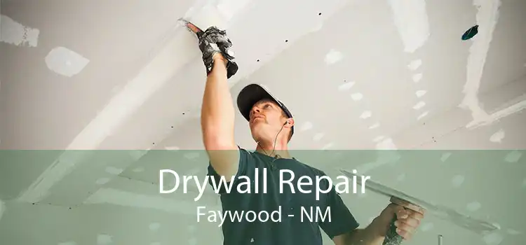 Drywall Repair Faywood - NM