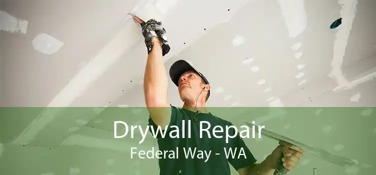 Drywall Repair Federal Way - WA