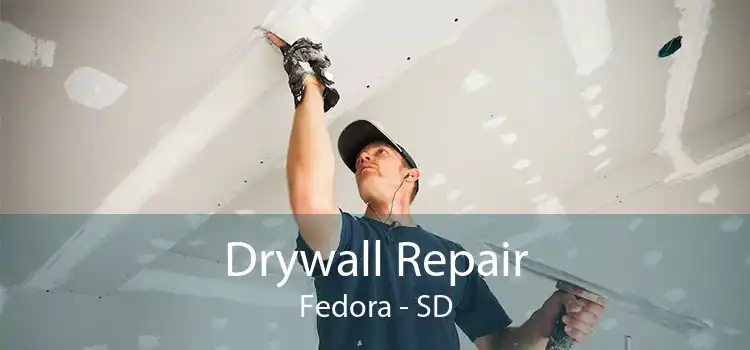 Drywall Repair Fedora - SD