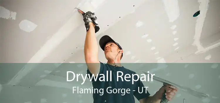 Drywall Repair Flaming Gorge - UT