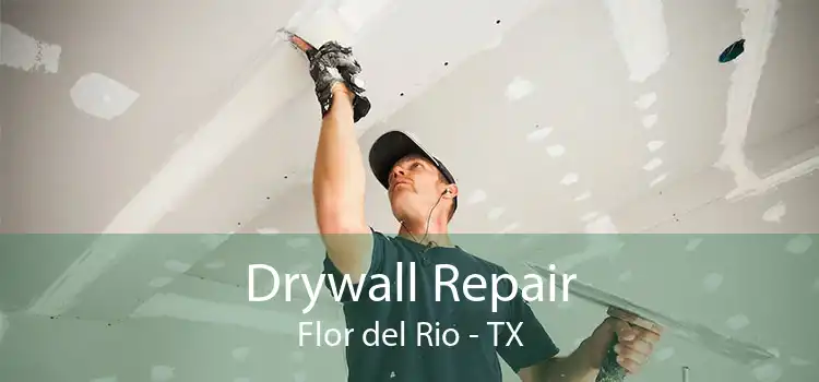 Drywall Repair Flor del Rio - TX