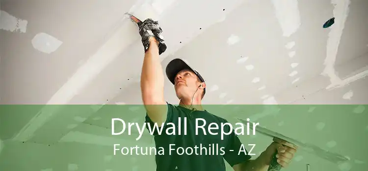 Drywall Repair Fortuna Foothills - AZ