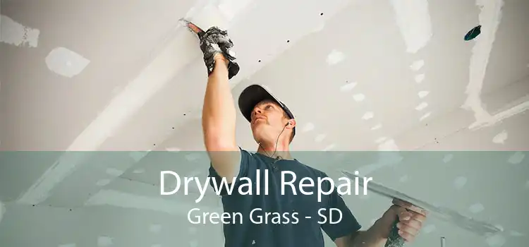 Drywall Repair Green Grass - SD