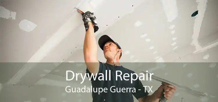 Drywall Repair Guadalupe Guerra - TX