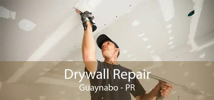 Drywall Repair Guaynabo - PR