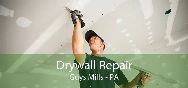 Drywall Repair Guys Mills - PA