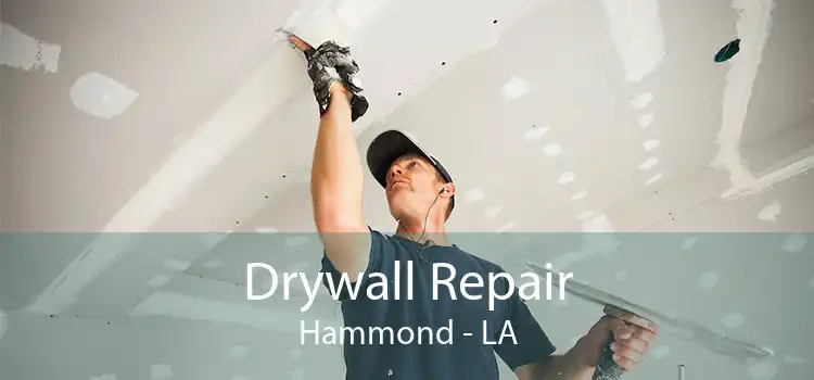 Drywall Repair Hammond - LA