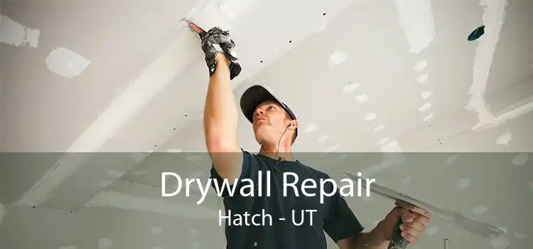 Drywall Repair Hatch - UT