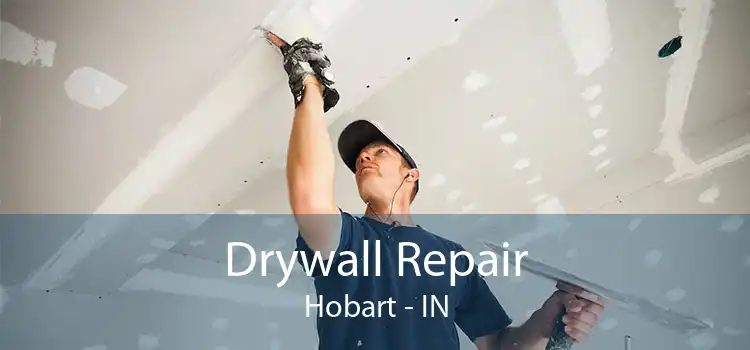 Drywall Repair Hobart - IN
