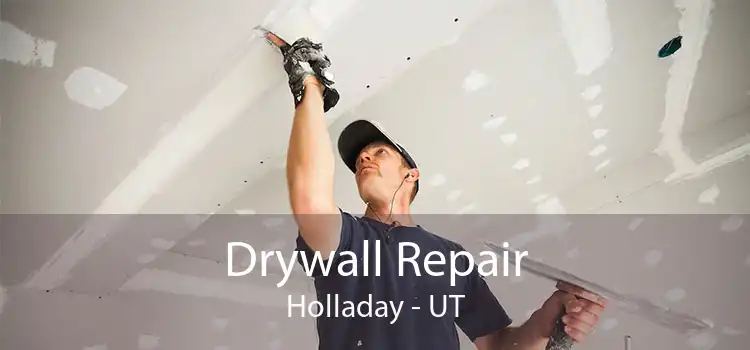 Drywall Repair Holladay - UT