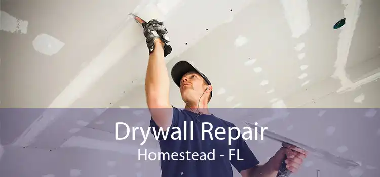 Drywall Repair Homestead - FL