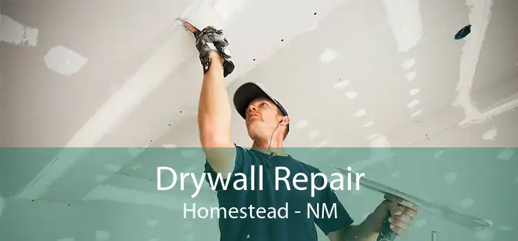 Drywall Repair Homestead - NM