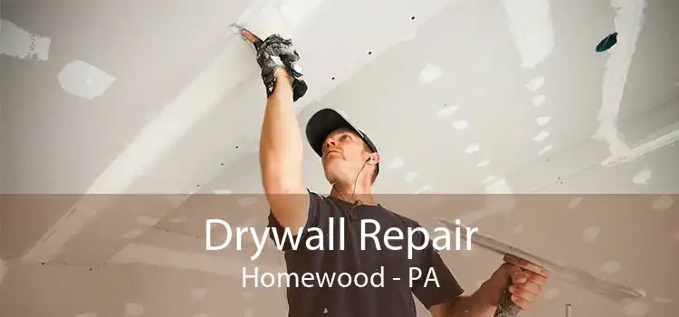 Drywall Repair Homewood - PA