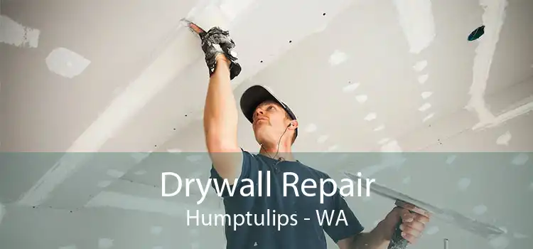 Drywall Repair Humptulips - WA