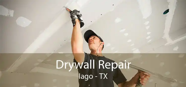 Drywall Repair Iago - TX