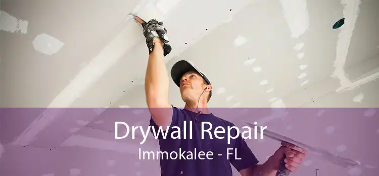 Drywall Repair Immokalee - FL