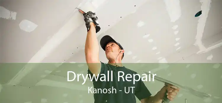 Drywall Repair Kanosh - UT