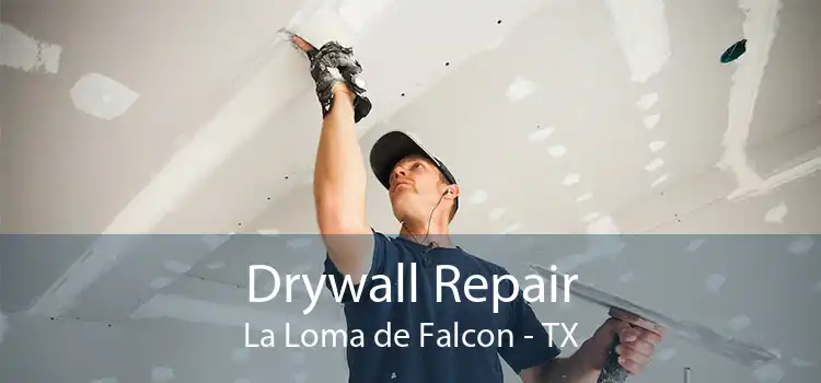 Drywall Repair La Loma de Falcon - TX